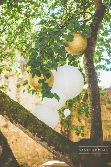 mariage champêtre avec boules chinoises