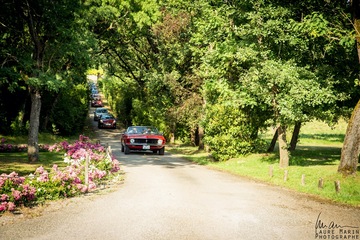 Arrivée cortège Domaine Beausoleil
