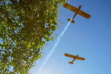 Avion Mariage