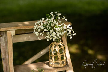 Bois et gypsophile