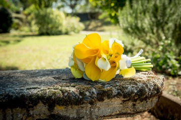 Organisatrice de mariage proche Toulouse