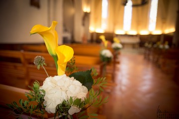 Organisatrice de mariage proche Toulouse