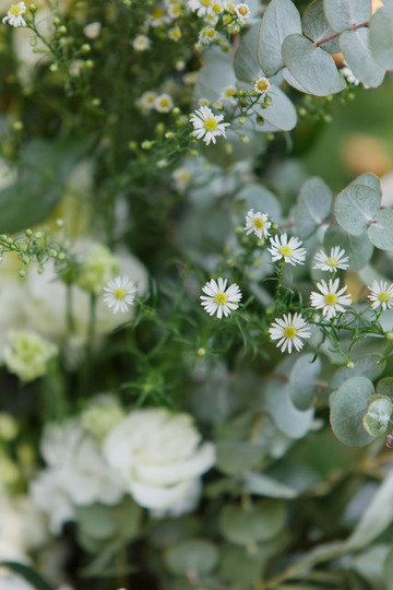 Fleurs en toute simplicité