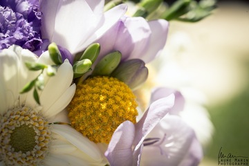 Fleurs printanières pour mariage