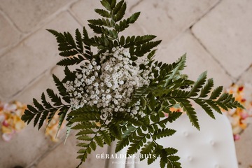 Fougère et gypsophile