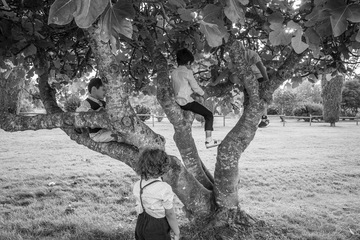 les enfants au mariage