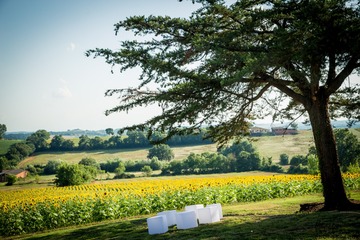 Organisatrice de mariage proche Toulouse