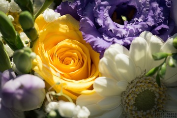 Mariage jaune et violet
