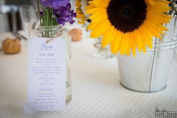 Menu et tournesol