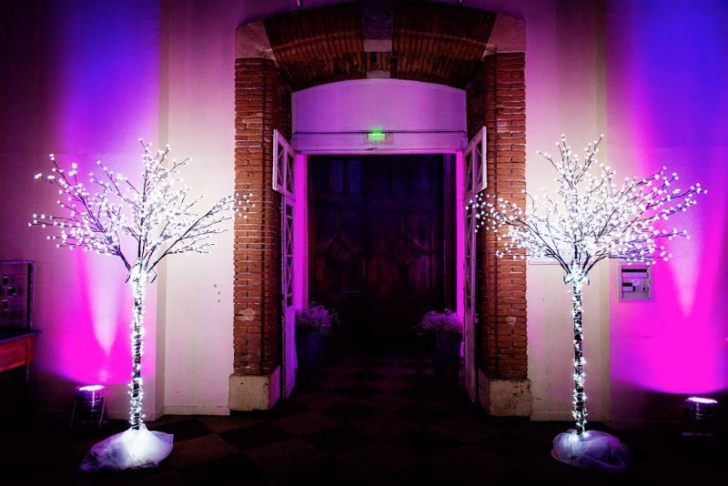 Se marier au Capitole en plein cœur de Toulouse