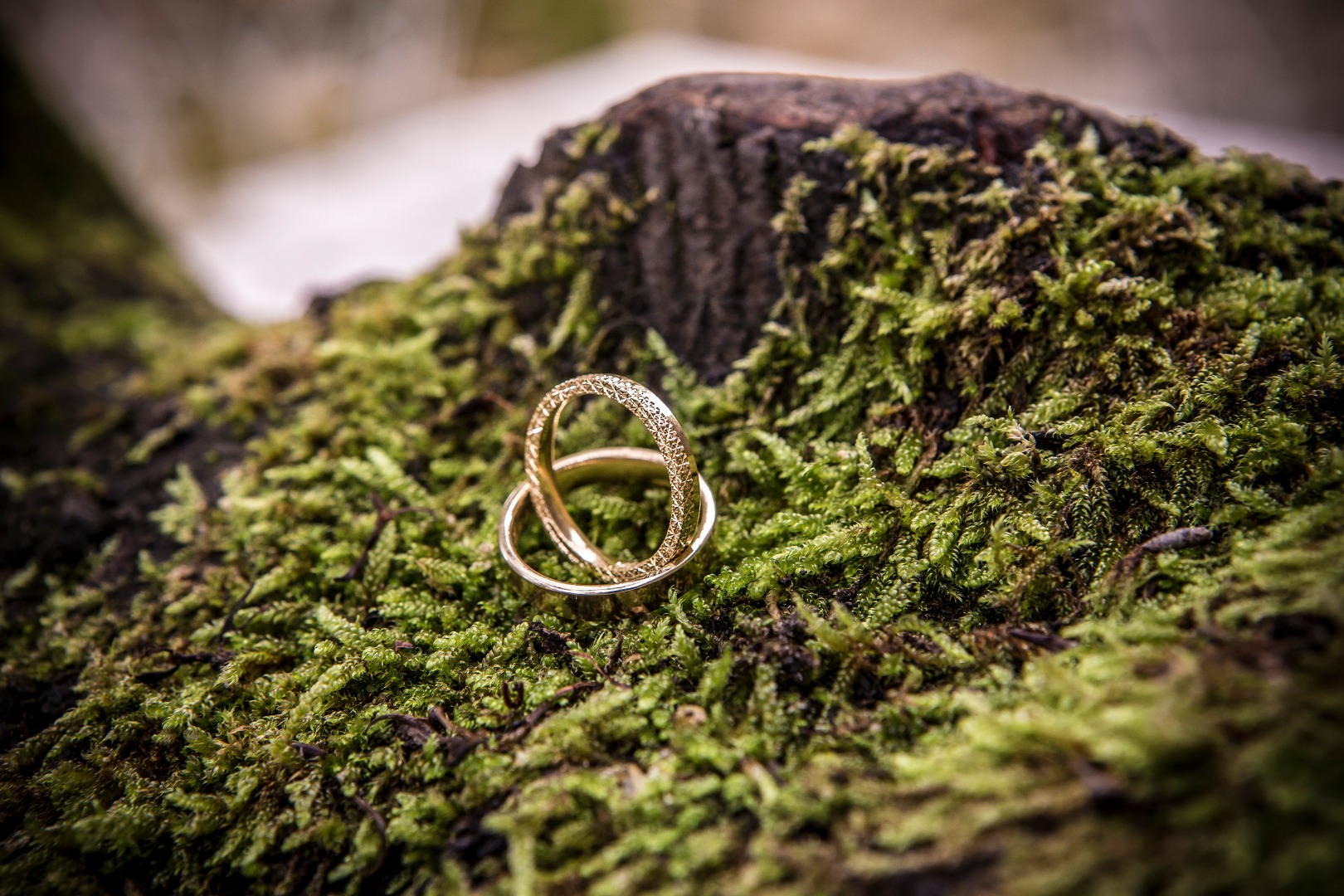 Alliances et nature La Dolce Vita Organisation de Mariages Toulouse