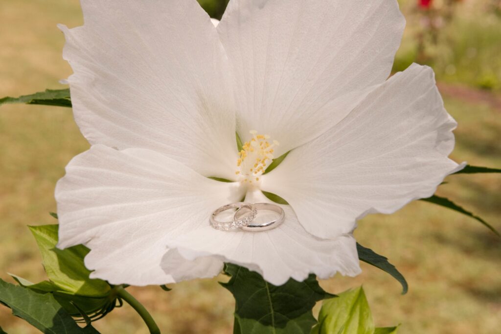 La Dolce Vita | Quel style pour ses alliances | Toulouse