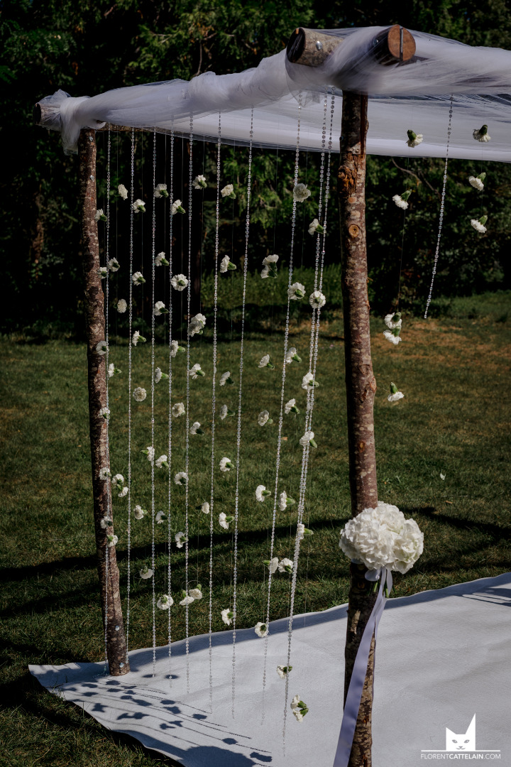 Cérémonie laïqe vue d&rsquo;ensemble avec gros arbre