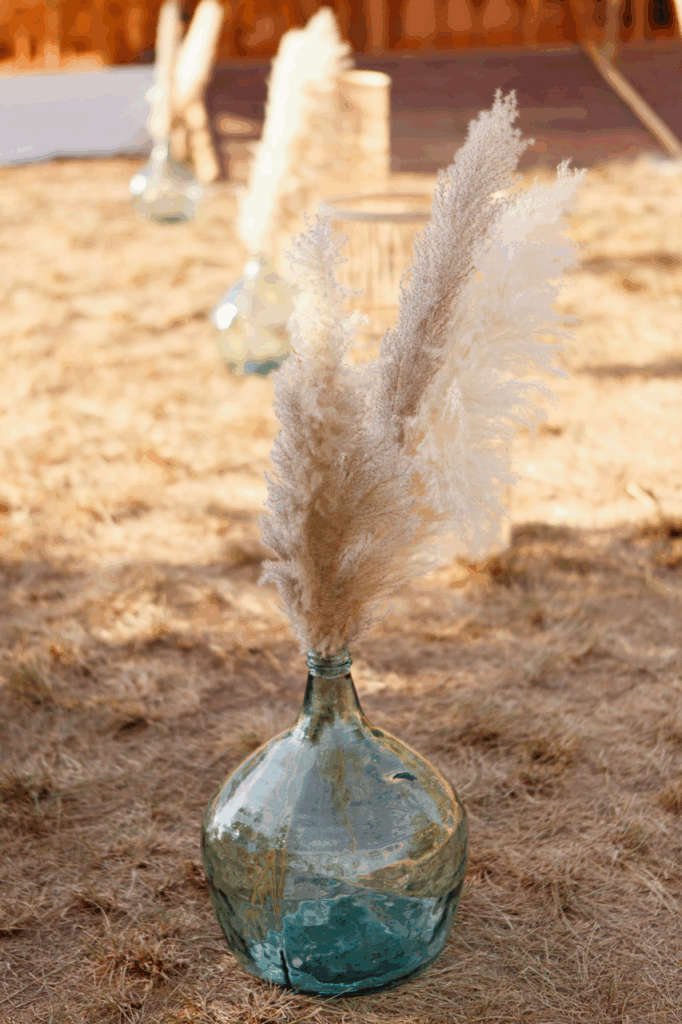 dame jeanne et pampa