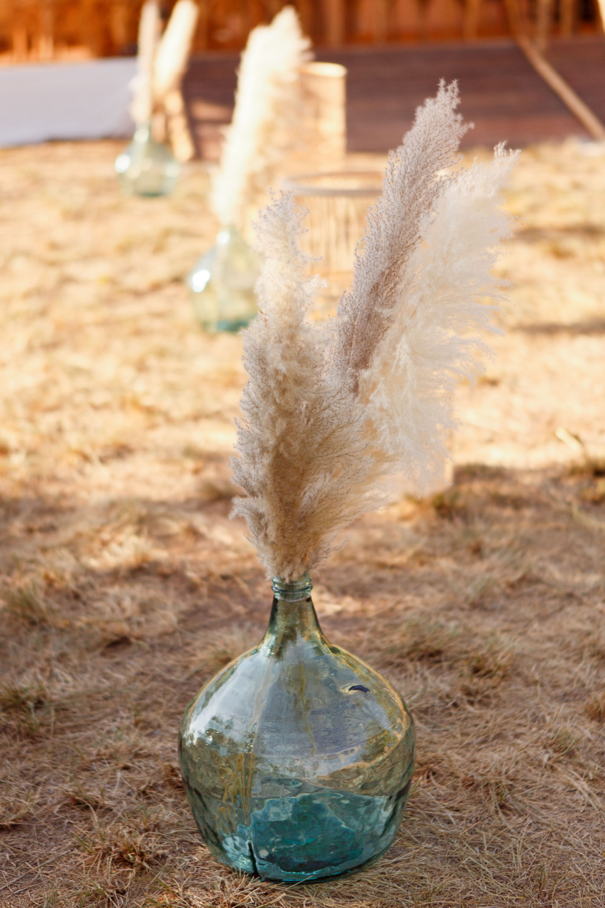 dame jeanne et pampa