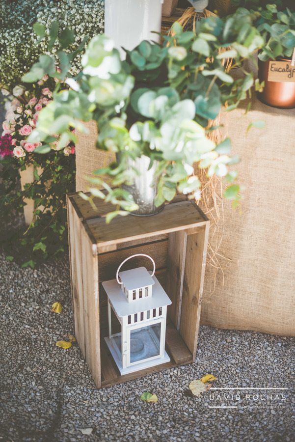 La Dolce Vita | Bar à Fleur à Colomiers