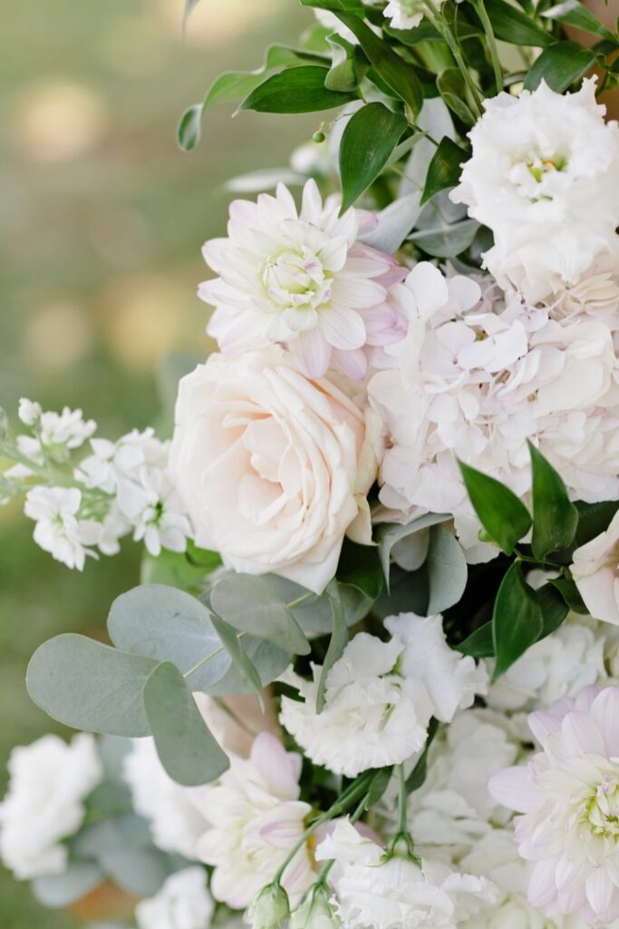 rose, horthensia et eucalyptus