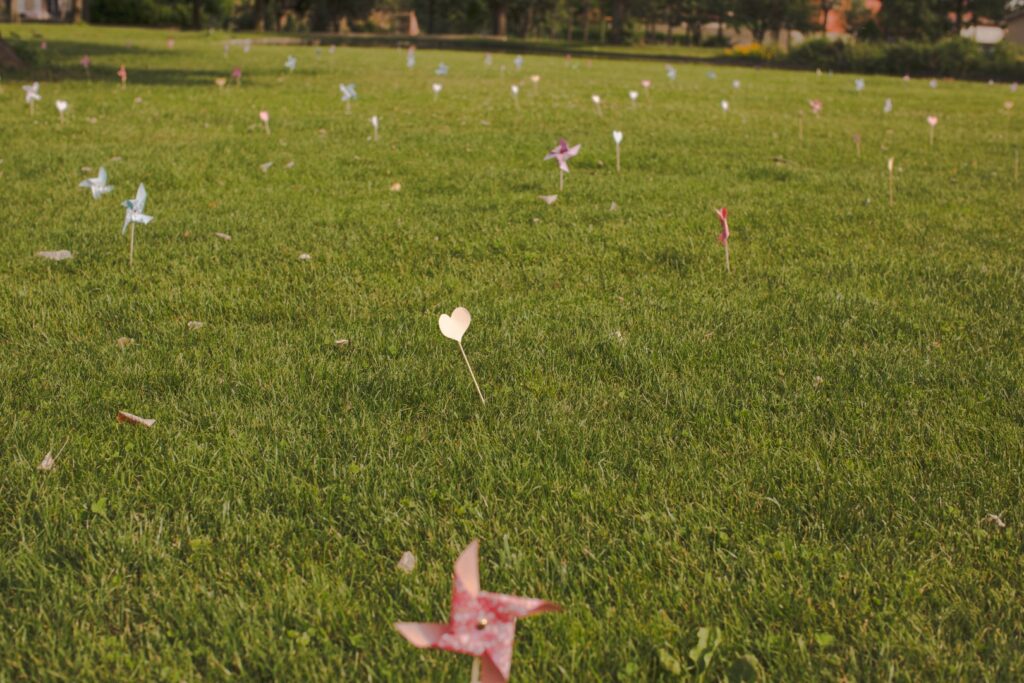 Organisatrice de mariage proche Toulouse
