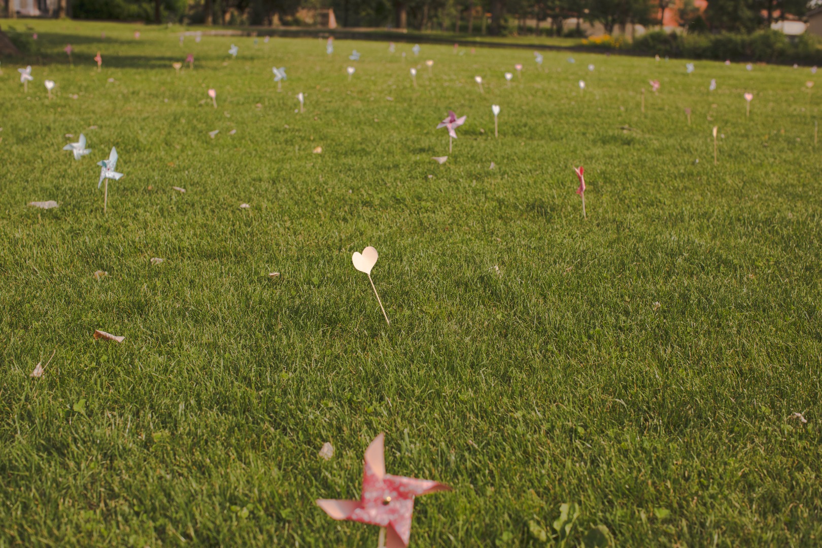 Organisatrice de mariage proche Toulouse